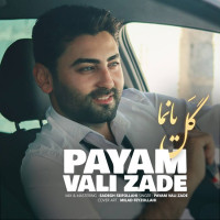 Payam Vali Zade - Gal Yanima