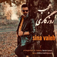 Sina Valeh - Ajab Roozegari