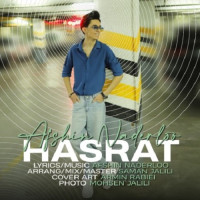 Afshin Naderloo - Hasrat