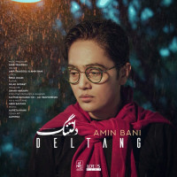 Amin Bani - Deltang