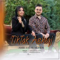 Amirsalar Mohebi - Tik Tak Ashegi
