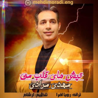 Mehdi Moradi - Tapeshaye Ghalbe Man