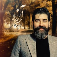 Omid Fatemi - Arezoo