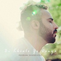 Pedram Shanehsaz - Bi Khiale Ye Donya