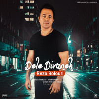 Reza Bolouri - Dele Divaneh
