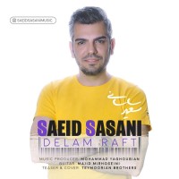 Saeid Sasani - Delam Raft