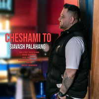 Siavash Palahang - Cheshami To