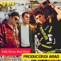Talk Down & Lenna - Red Wine ( Dj Arad Remix )