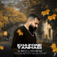 Alireza Ghasemi - Khazone Tanhaei