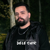Mohsen Aghakhani - Dele Shir