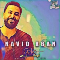 Navid Aban - Gole Narges ( New Version )