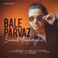 Saeed Mashreghi - Bale Parvaz