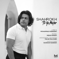 Shahrokh Mousavi - To Ye Nafar