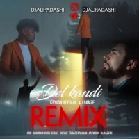 Ali Hamze & Keyvan Heydari - Del Kandi ( Ali Padashi Remix )