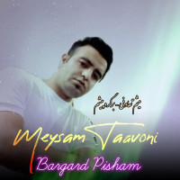 Meysam Taavoni - Bargard Pisham