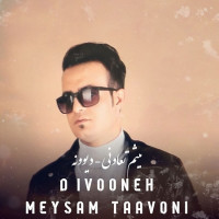 Meysam Taavoni - Divooneh