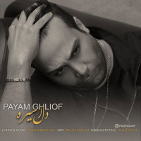 Payam Gholiof - Del Asireh