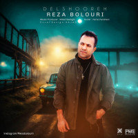 Reza Bolouri - Delshoreh