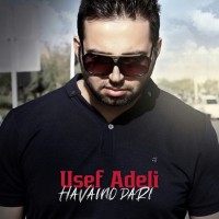 Usef Adeli - Havamo dari