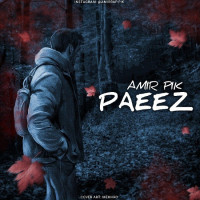 Amir Pik - Paeez