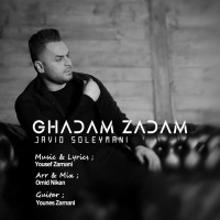 Javid Soleymani - Ghadam Zadam