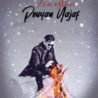 Pouyan Najaf - Zemestoon