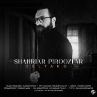 Shahriar Piroozfar - Deltangi