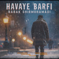 Babak Shirmohammadi - Havaye Barfi