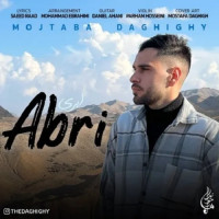 Mojtaba Daghighy - Abri