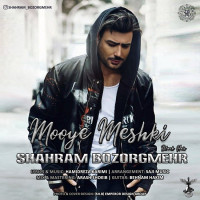 Shahram Bozorgmehr - Mooye Meshki