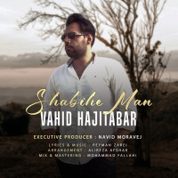 Vahid Hajitabar - Shabihe Man