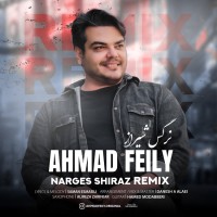 Ahmad Feily - Narges Shiraz ( Remix )