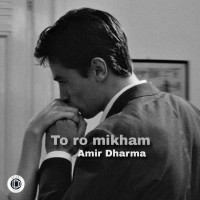 Dharma - Toro Mikham