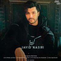 Javid Nasiri - Bargard