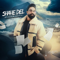 Meysam Arabi - Shahe Del