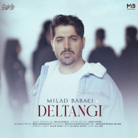 Milad Babaei - Deltangi