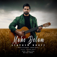 Siavash Noori - Mahe Delam