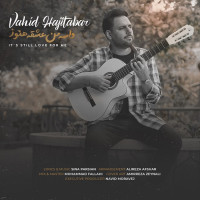 Vahid Hajitabar - Vase Man Eshghe Hanooz