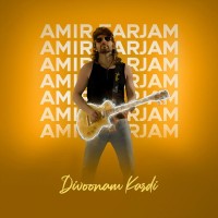 Amir Farjam - Divoonam Kardi