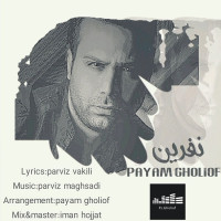 Payam Gholiof - Nefrin