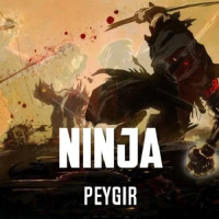 Peygir - Ninja