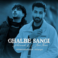 Pouriaraadi Ft Amin Nazari - Ghalb Sangi