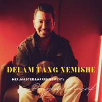 Pouyan Najaf - Delam Tang Nemishe