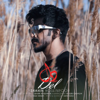 Shahin Hoseinpoor - Del