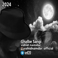 Vahid Namdar - Ghalbe Sangi