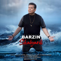 Barzin - Shabgardi