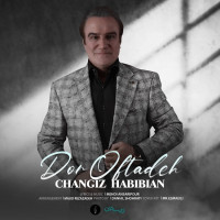Changiz Habibian - Dor Oftadeh