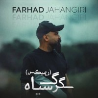 Farhad Jahangiri - Gorge Siah ( Remix )