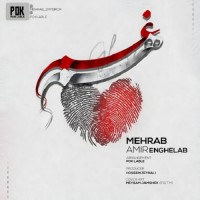 Mehrab & Amir Enghelab - Hamgham