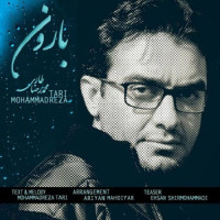 Mohammadreza Tari - Baroon